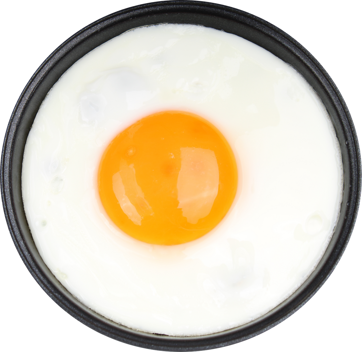 HYS Smart Fried Egg Cooker – Delicious & On-Demand by HYS Cooker